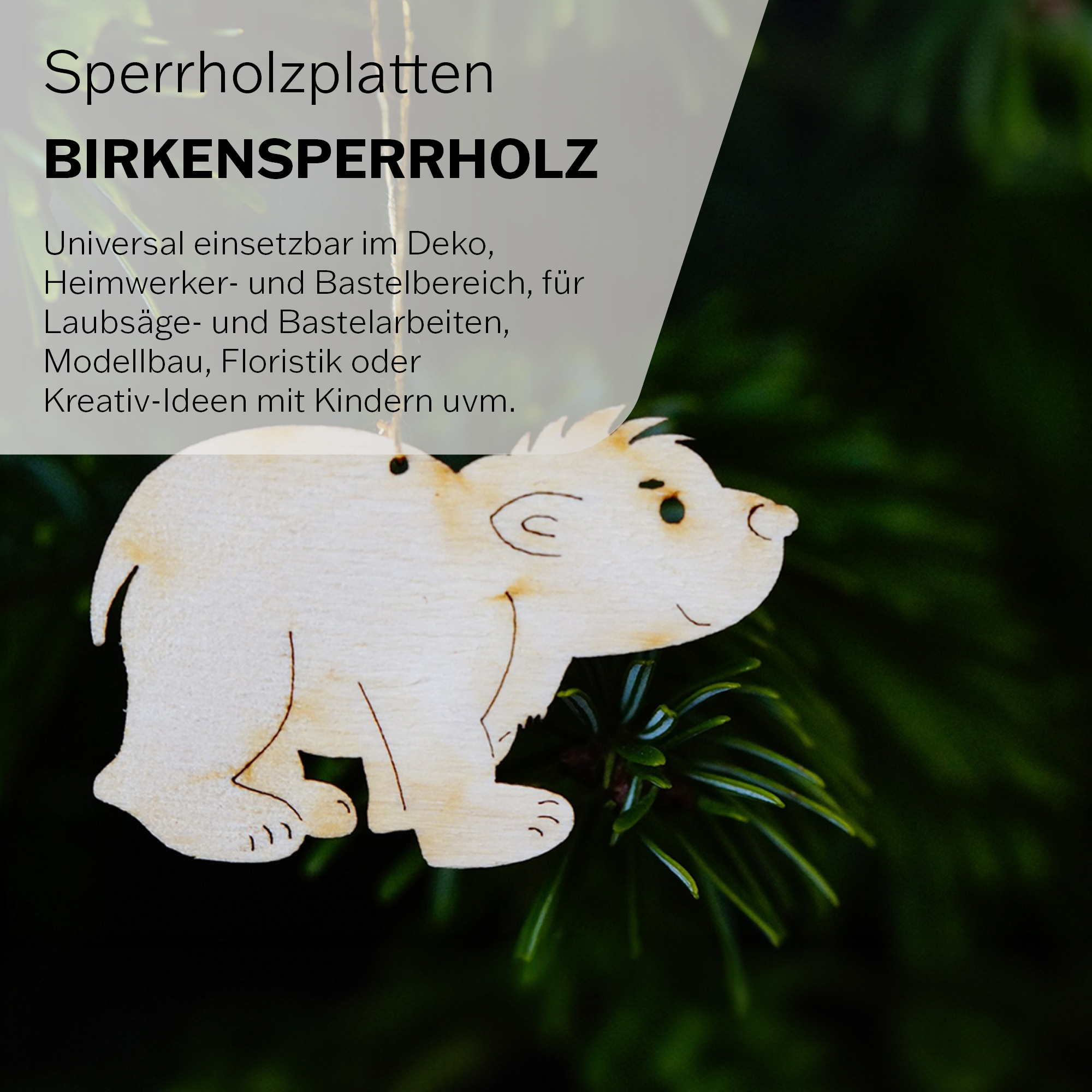 Amazongrafiken-1-3PxlYtMHFQeuX5.jpg